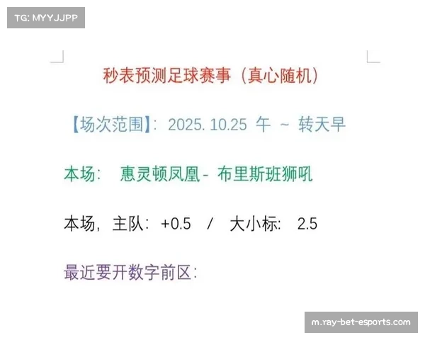 维迪奇进球助布里斯班狮吼取胜 惠灵顿凤凰需调整应对挑战